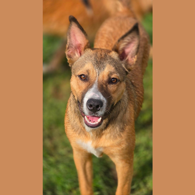 Photo of Edie