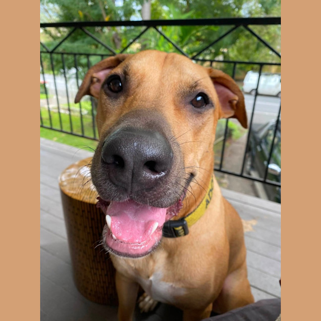 Photo of Zuko