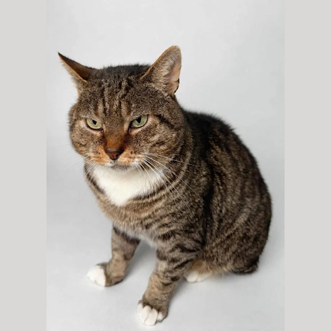 Photo of Tom