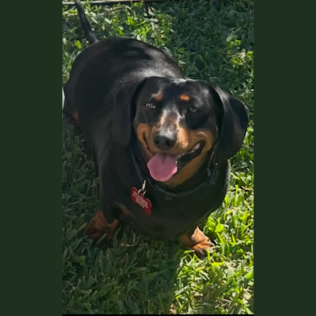 Photo of Bonni