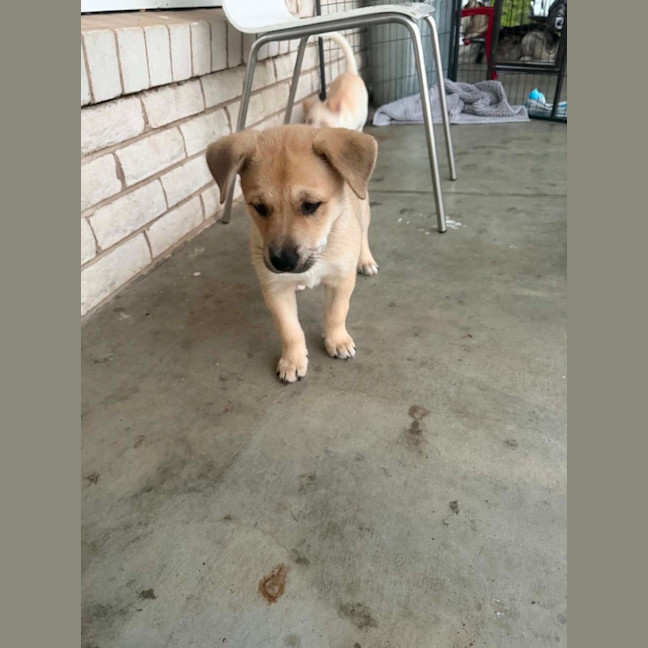 Photo of Kira