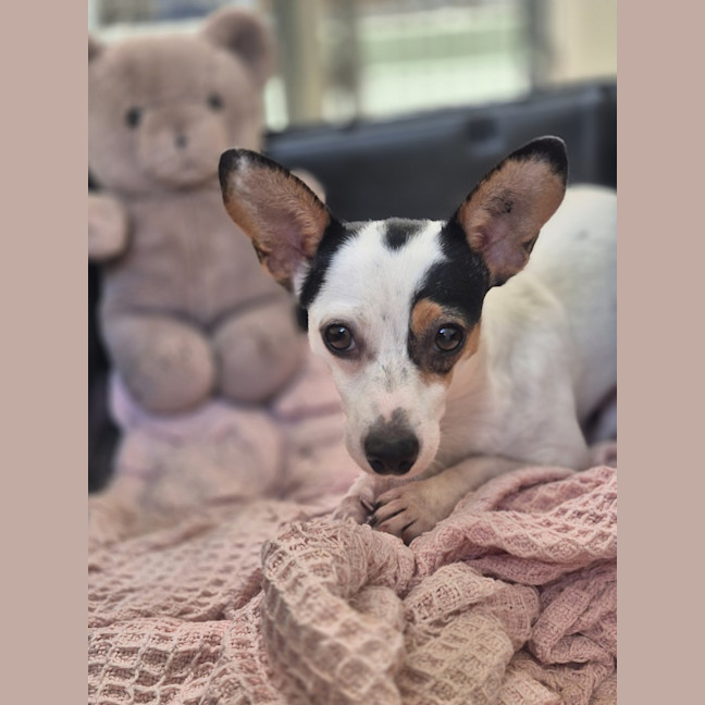 Photo of Kira