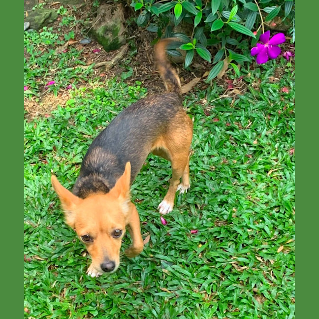 Photo of Tiny