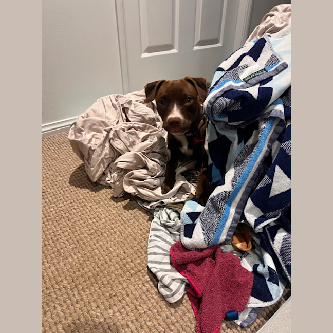 Photo of Peggy