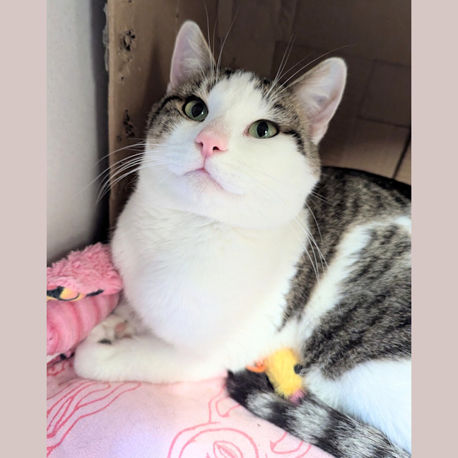 Photo of Sooty