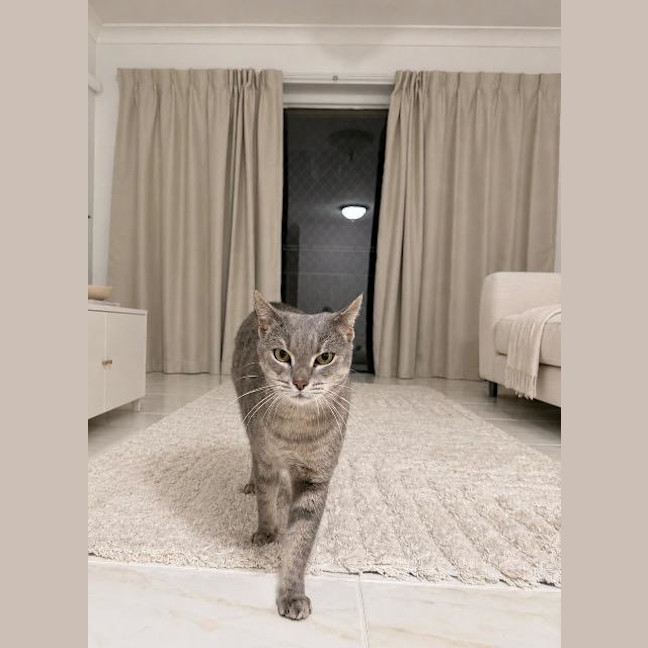 Photo of Olivia