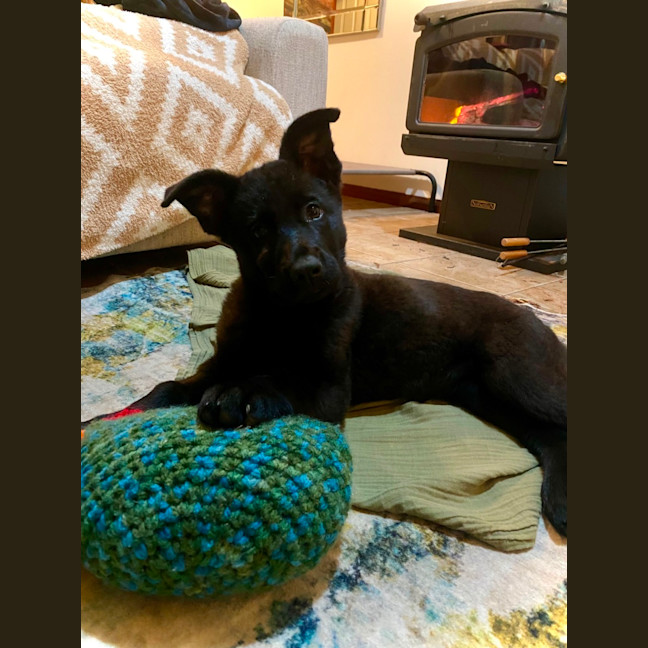 Photo of Monty