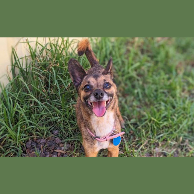 Photo of Charlie