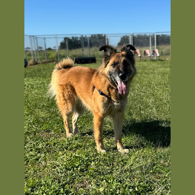 Photo of Bess