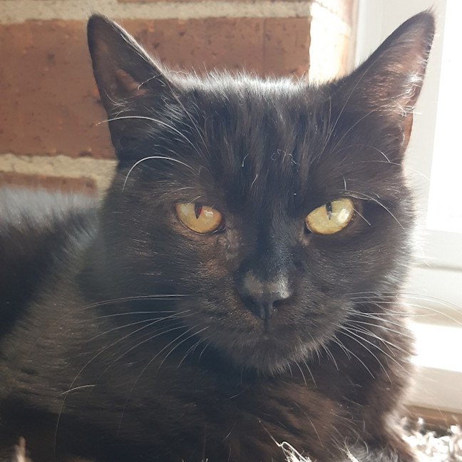 Photo of Ghost