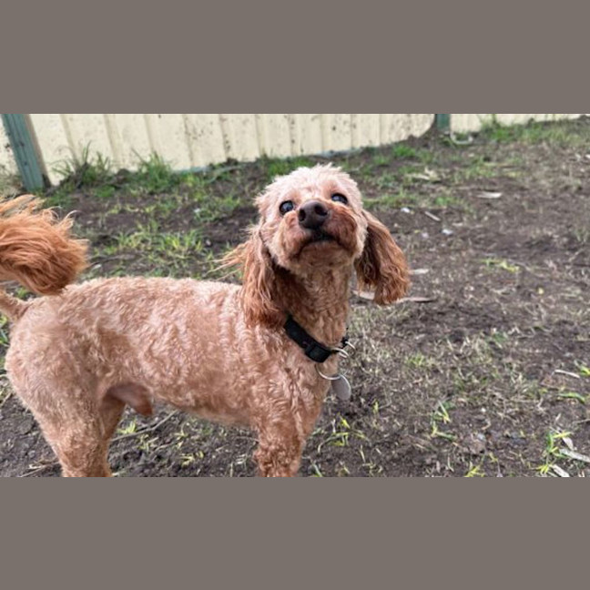 Photo of Charlie