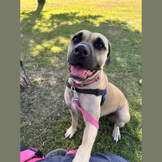 Photo of Molly