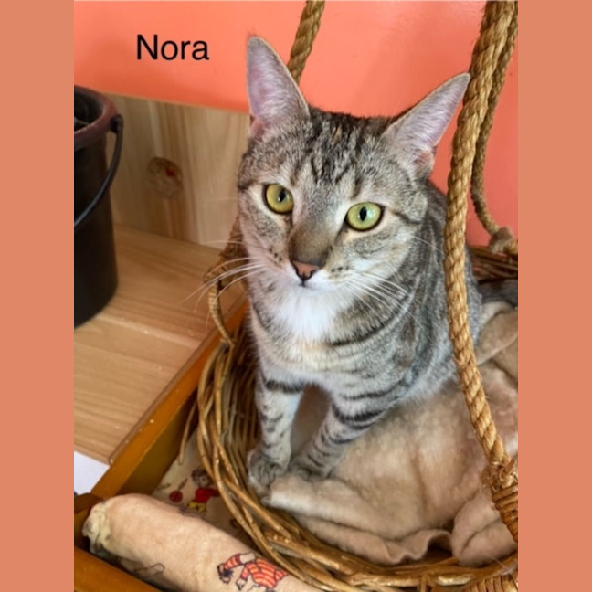 Photo of Nora
