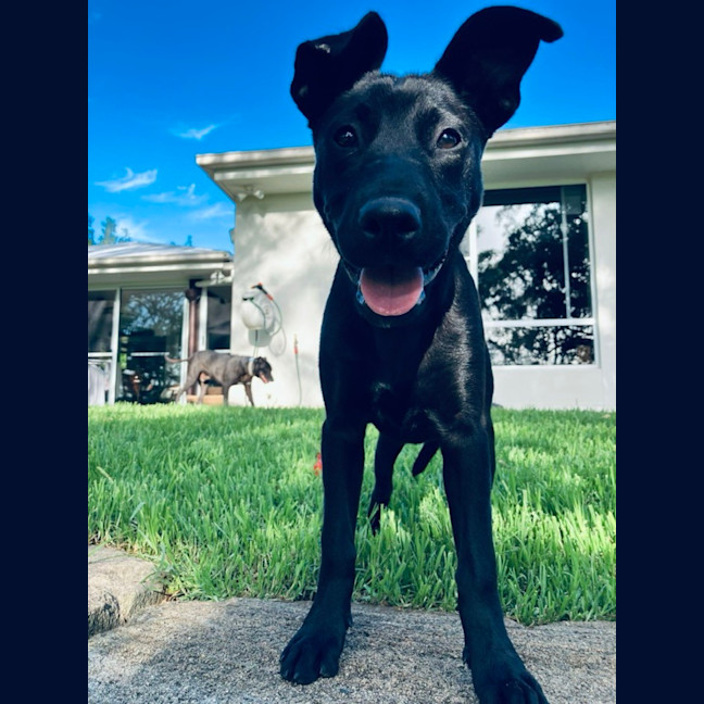 Photo of Storm