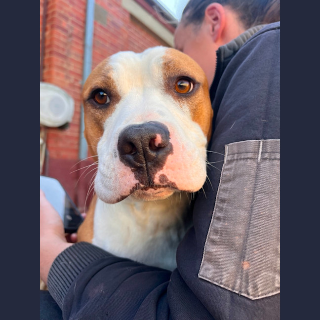Photo of Buddy
