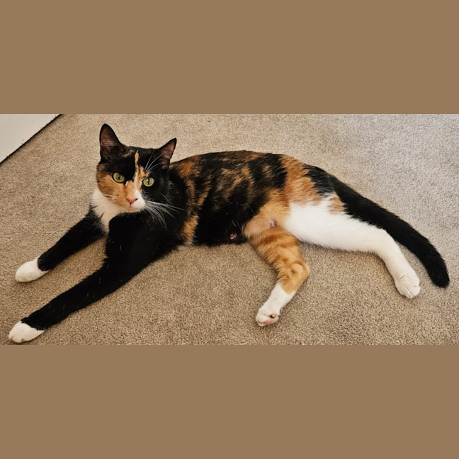Photo of Hazel