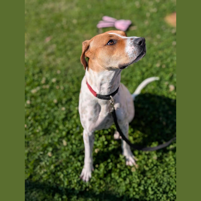Photo of Marnie