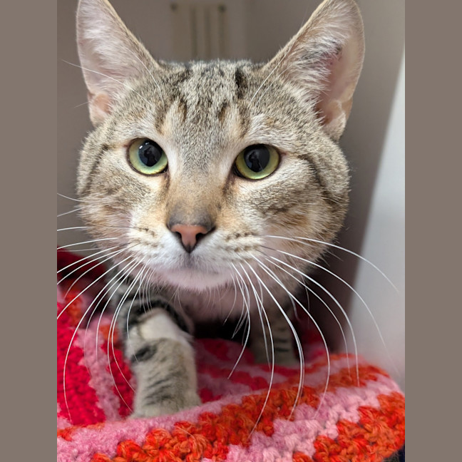 Photo of Milo