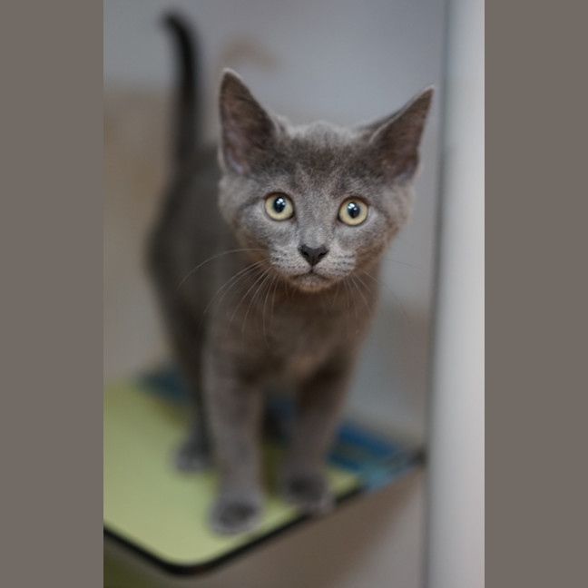Photo of Esther