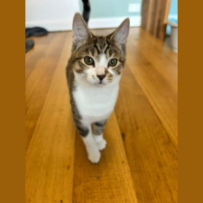 Photo of Alice
