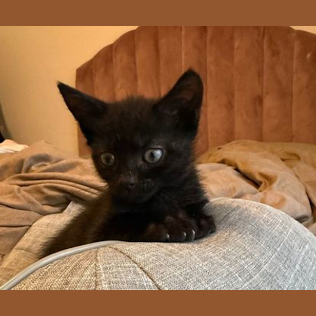 Photo of Neo