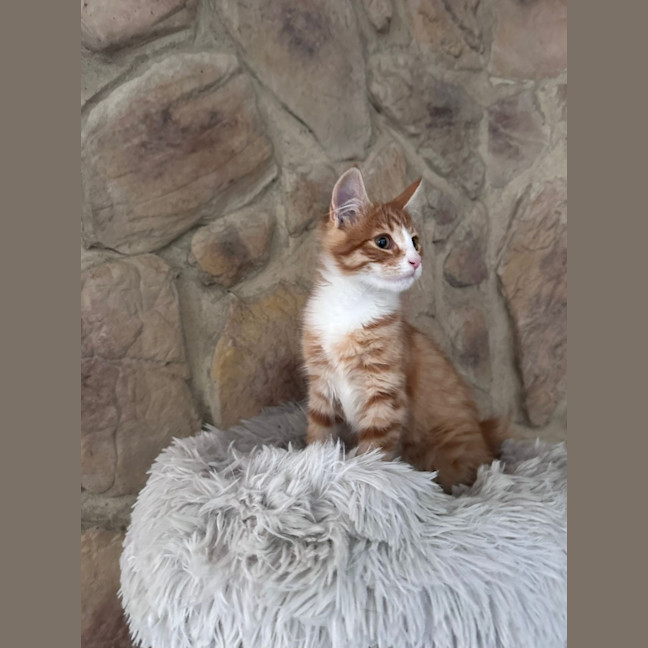 Photo of Pj