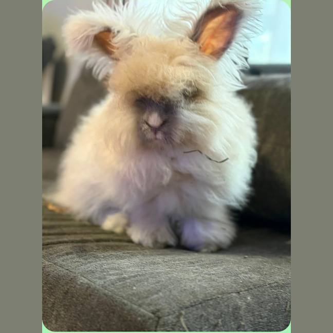 Photo of Noah