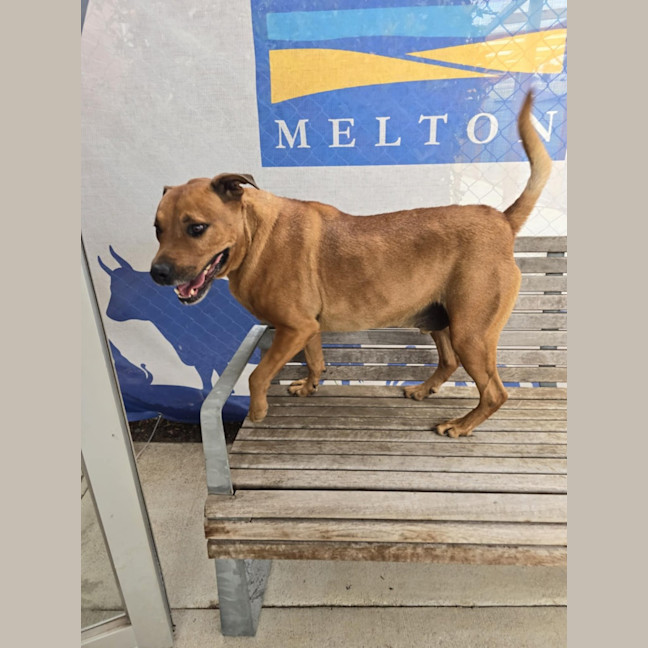 Photo of Thunderstruck