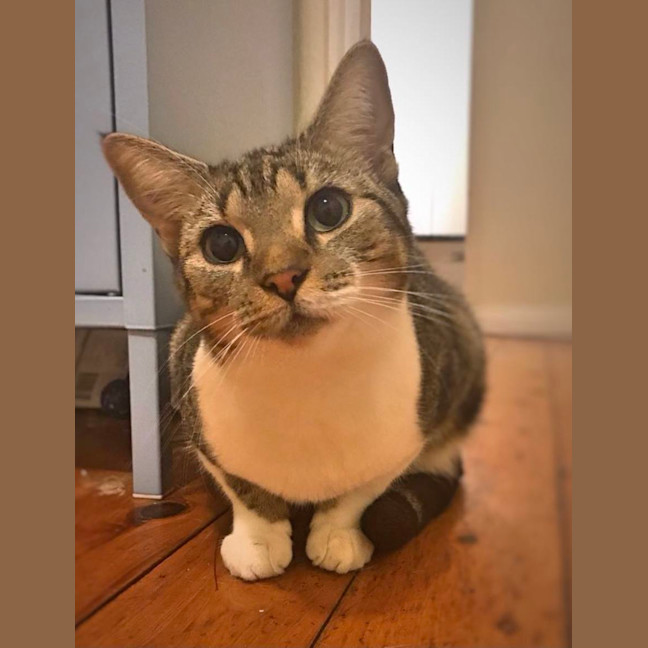 Photo of Rachel & Iggy