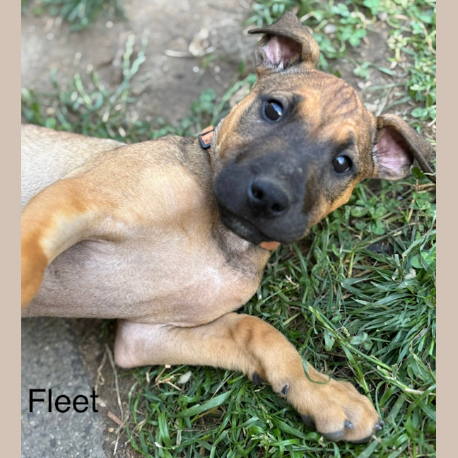 Photo of 🏘️ English Streets Litter (Part 1) 🏘️