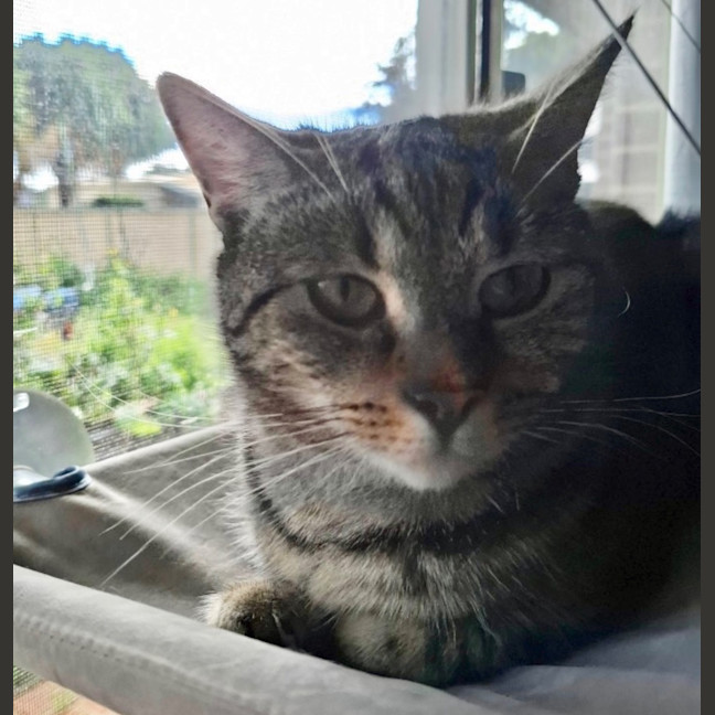 Photo of Bella