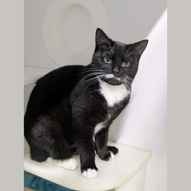 Photo of 🎀Brigita 6395 🎀