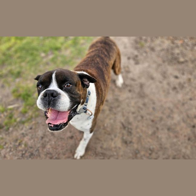 Photo of Ralphy