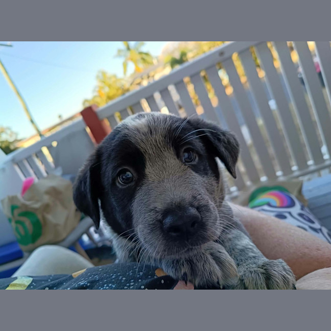Photo of Bronx