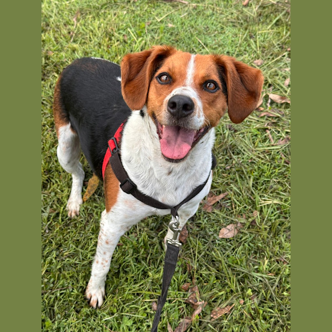 Photo of Mocca