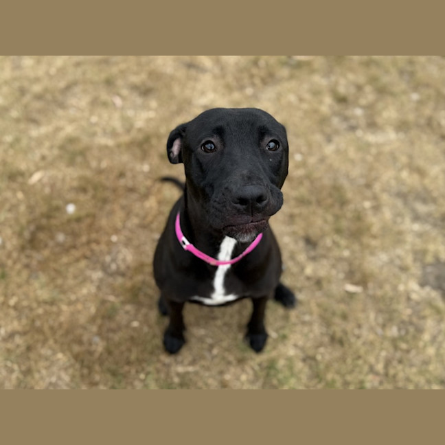 Photo of Tohru Imp 3013