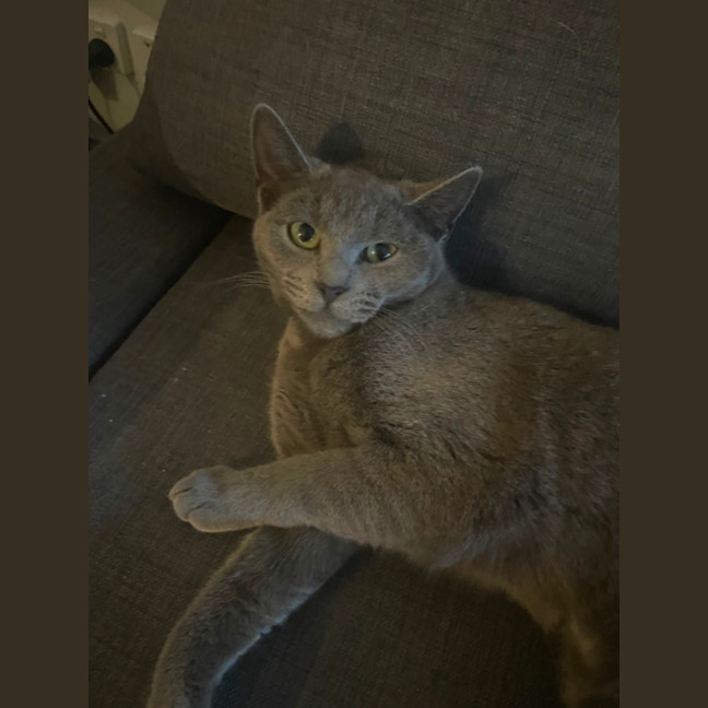 Photo of Sprinkle 🧁 