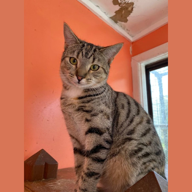 Photo of Nora