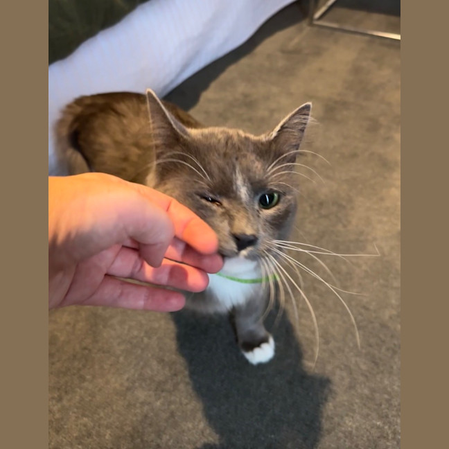 Photo of Professor Pringle