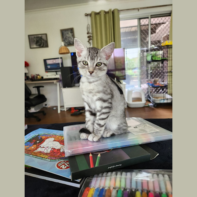 Photo of Jasper