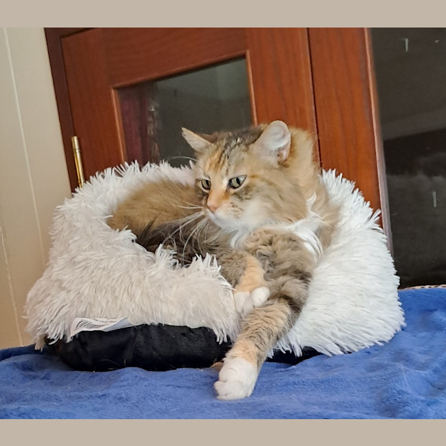 Photo of Hannah
