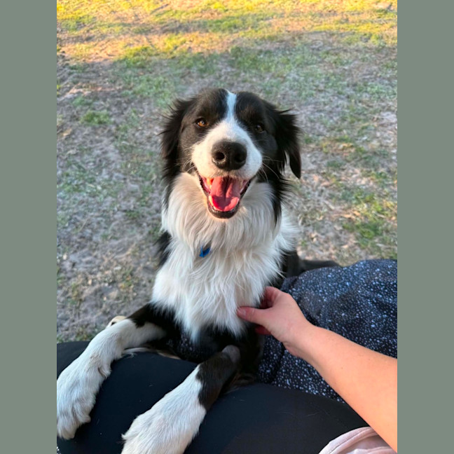 Photo of Zephyr