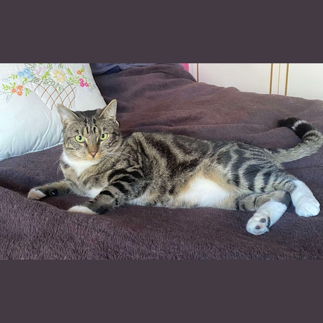 Photo of Oscar