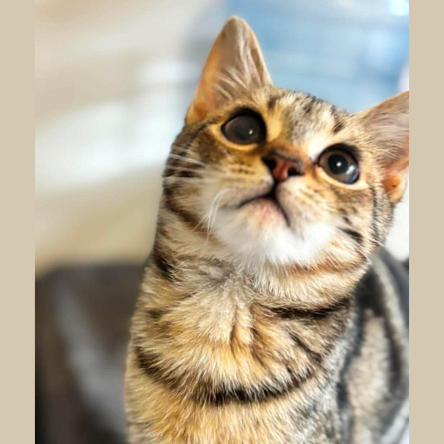 Photo of Bug