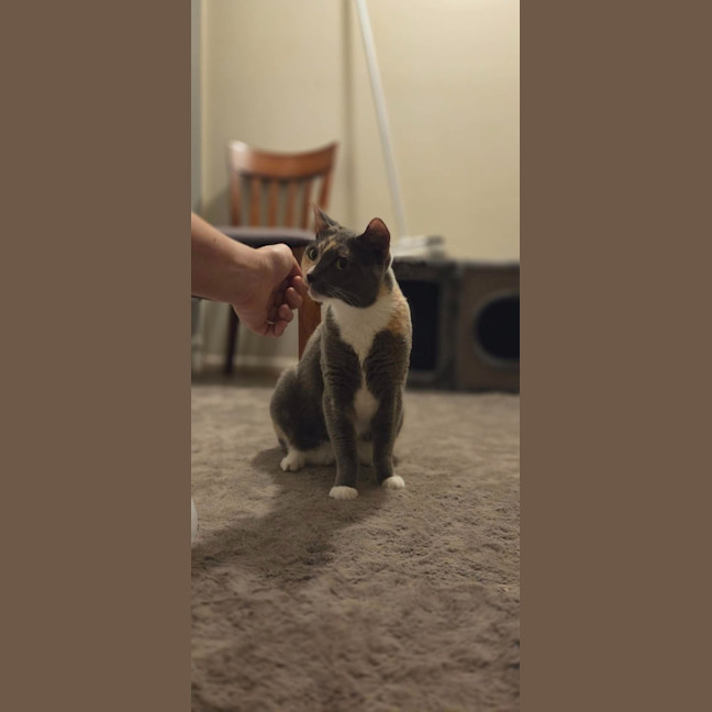 Photo of Cali