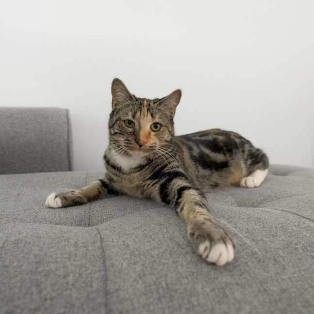 Photo of Sharona 
