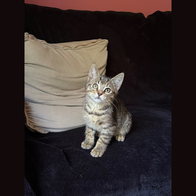 Photo of Gloria