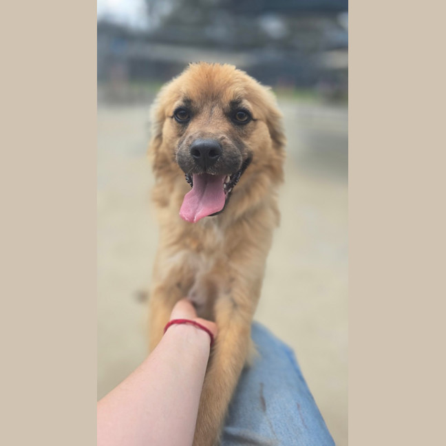 Photo of Ace