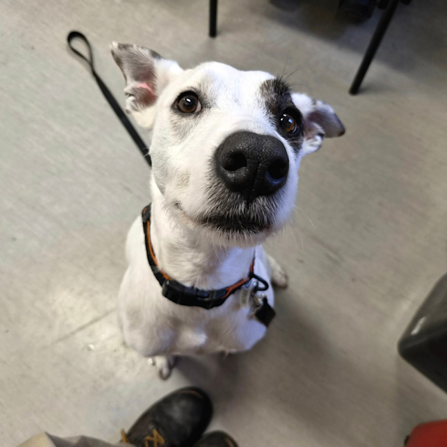 Photo of Mabel