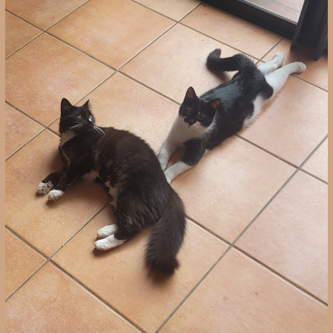 Photo of 💕 Phoebe Buffay 💕